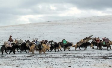 Amdo Nomadic Life Experience Tour
